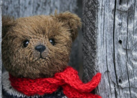 Teddy vermisst von Jim Peterson, eine Geschichte der App StoryPlanet Deutsch Pro, Foto von Oxana Lyashenko, mit freundlicher Genehmigung von Unsplash