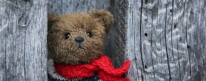 Case of the Missing Teddy by Jim Peterson, a story from the app StoryPlanet English Pro, photo by Oxana Lyanshenko, courtesy of Unsplash