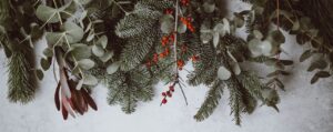 Der Weihnachtsmann von nebenan von Leonore Kleinkauf, eine Geschichte der App StoryPlanet Deutsch Pro, Foto von Annie Spratt, mit freundlicher Genehmigung von Unsplash